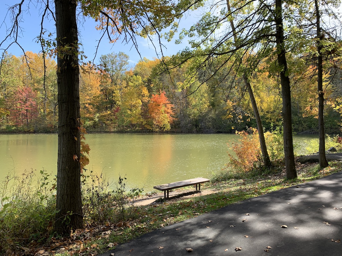 Walton Pond in the early Fall