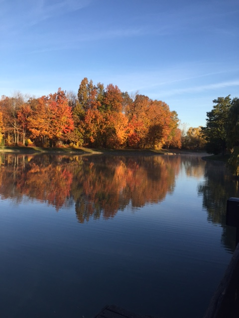 Walton Pond in the Fall