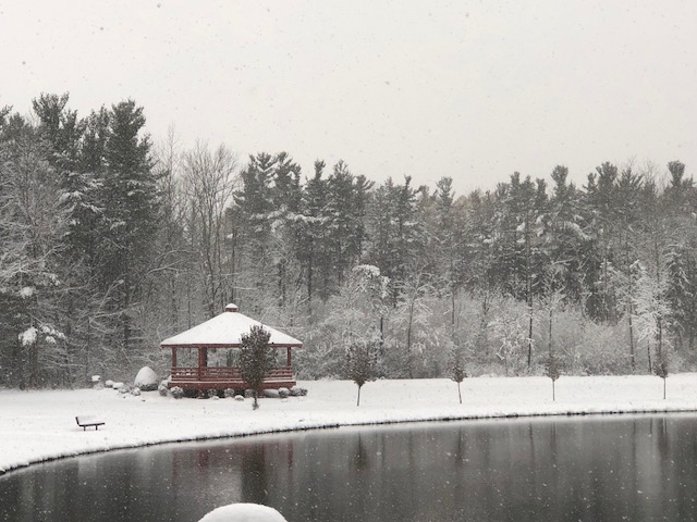 Walton Pond in the Winter
